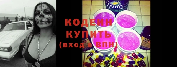 шишки Тавда
