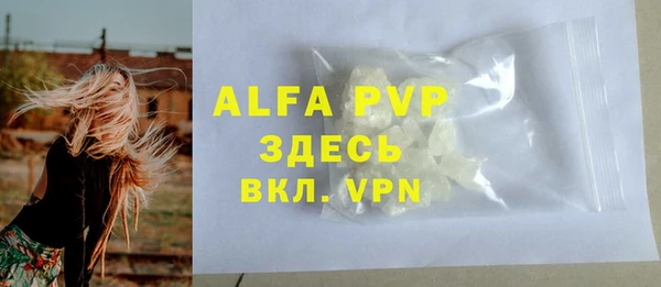 ПСИЛОЦИБИНОВЫЕ ГРИБЫ Белокуриха