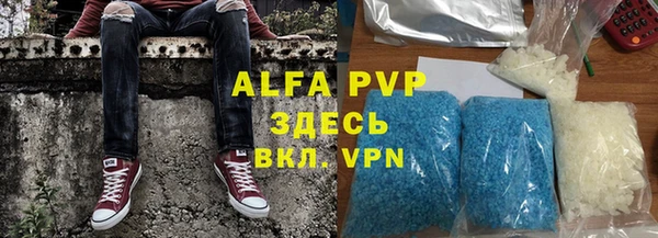 ПСИЛОЦИБИНОВЫЕ ГРИБЫ Белокуриха