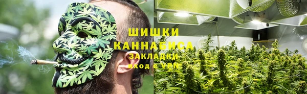 ПСИЛОЦИБИНОВЫЕ ГРИБЫ Белокуриха