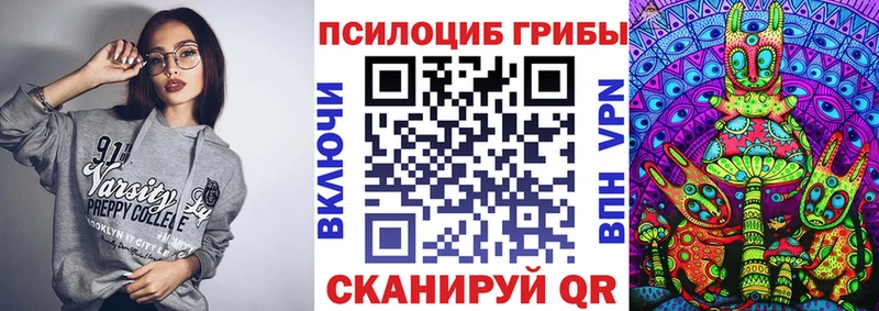kraken зеркало  Коркино  Галлюциногенные грибы Cubensis 